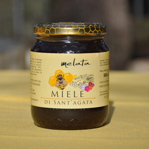 Miele di Bosco (Melata)